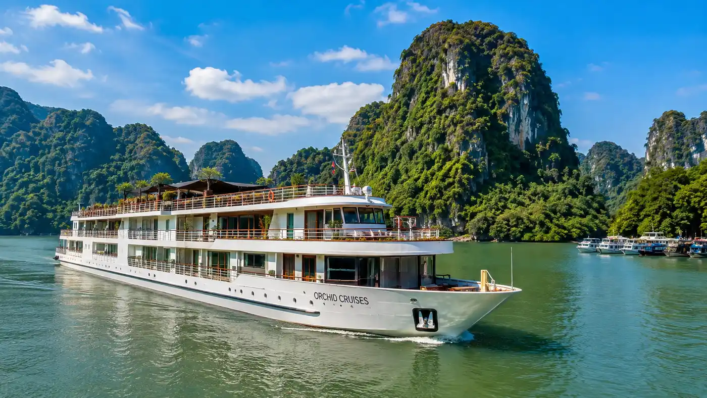 White Orchid River Cruise Reviews & Practical Info