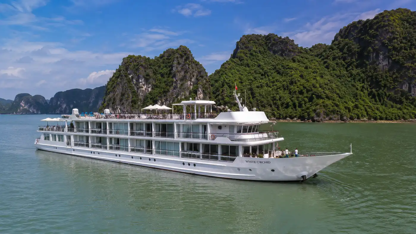 White Orchid River Cruise Ticket Prices & Booking